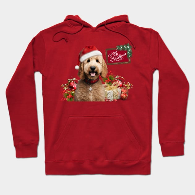 Have a Very Merry Doodle Christmas! Hoodie by Doodle and Things